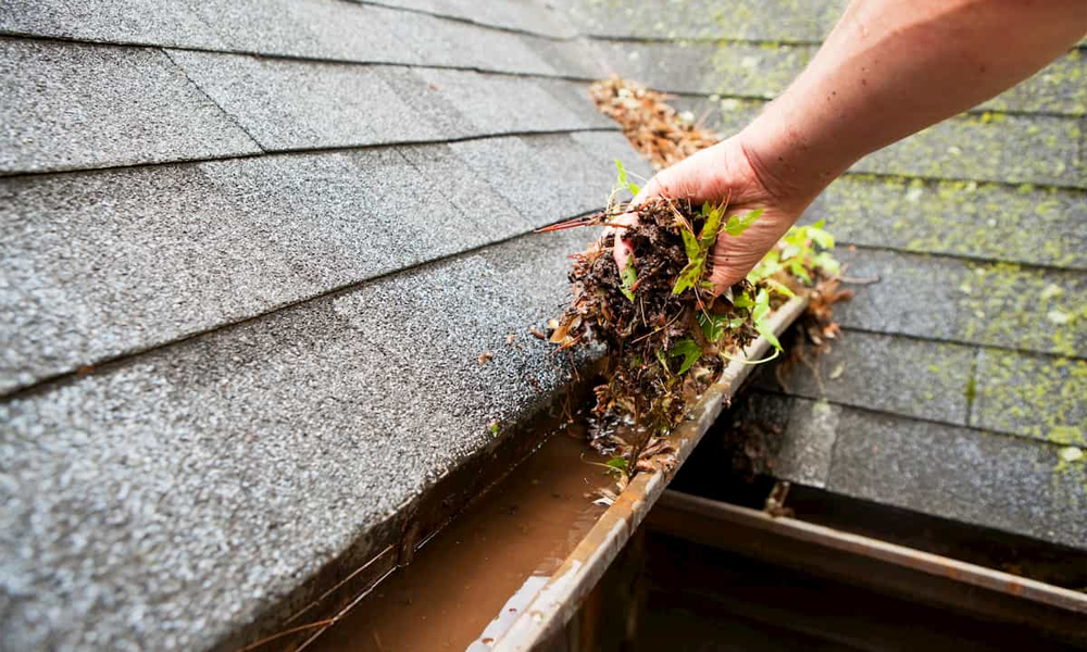 Expert gutter cleaning and maintenance service in Spalding Lincolnshire